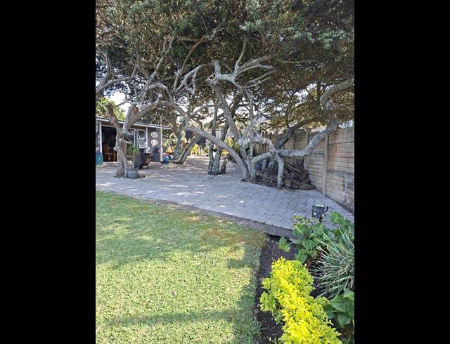 4 BEDROOM FREEHOLD FOR SALE IN PALM BEACH